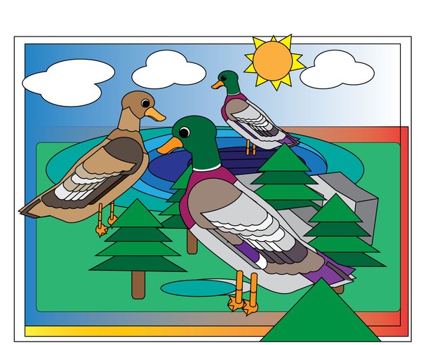 Duck-Pond