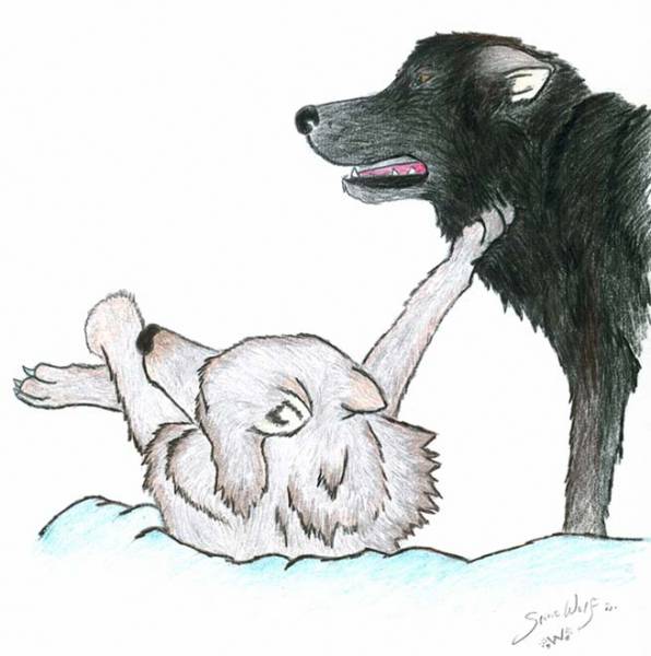 Playing with her Mate