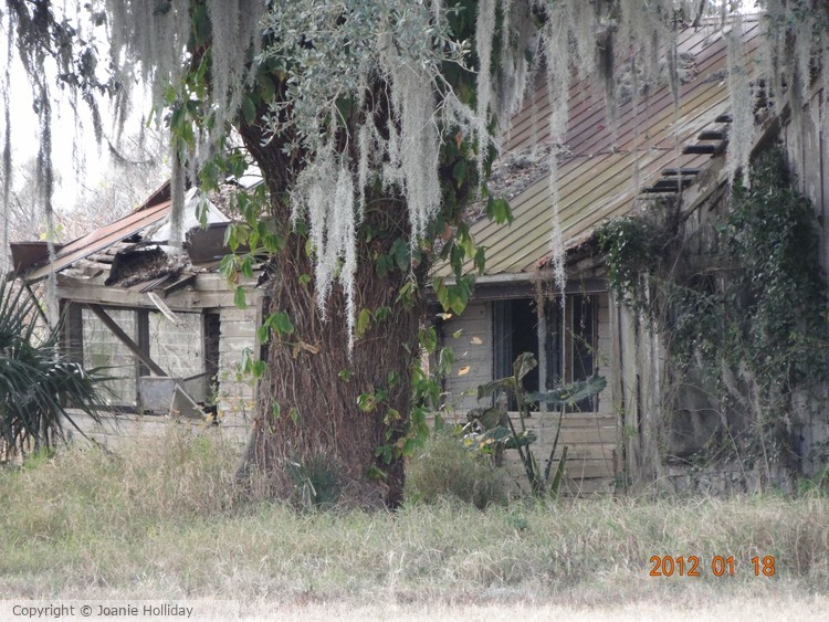 THIS OLD HOUSE- PHOTO