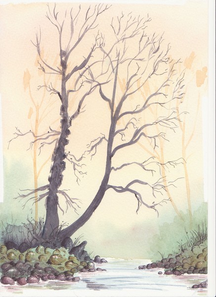 David Bellamy - Watercolour river