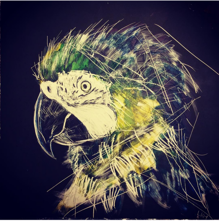 Birds being birds