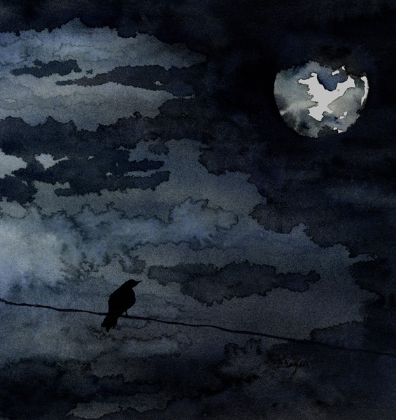 Moonlit Raven