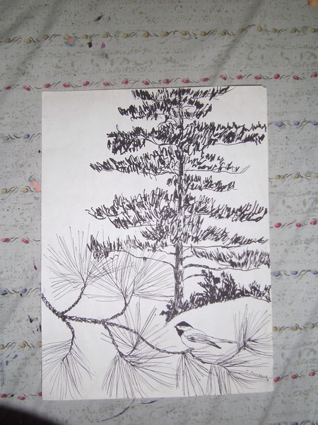 natures ink