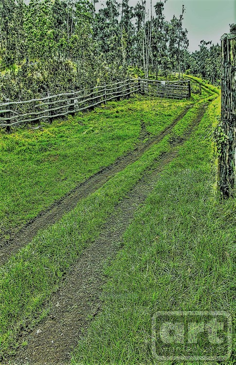 Road to the Ranch