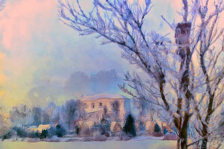Apricot morning #14Nellie Vin ©Painting