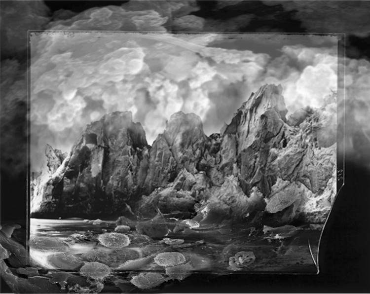 Amalgamated Fragmentation / Plastisphere-Earth 6