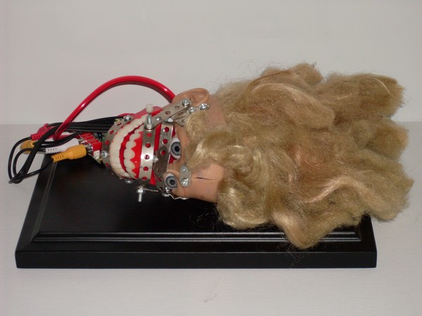 dear dolly