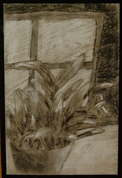 charcoal drawing