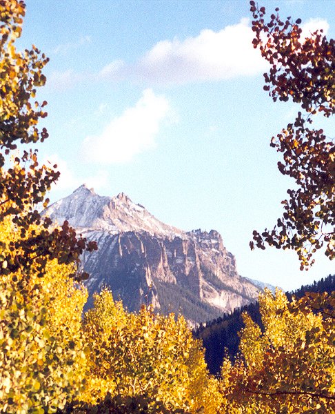 Aspens Salute the Rockies