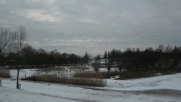 winter 15