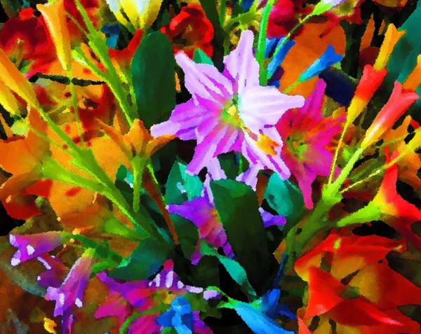 Floral 12