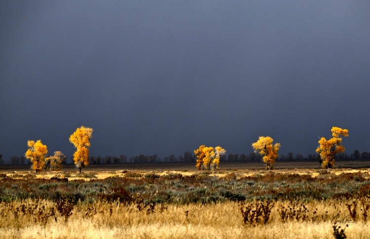 Approaching Storm/Gros Ventre Plains