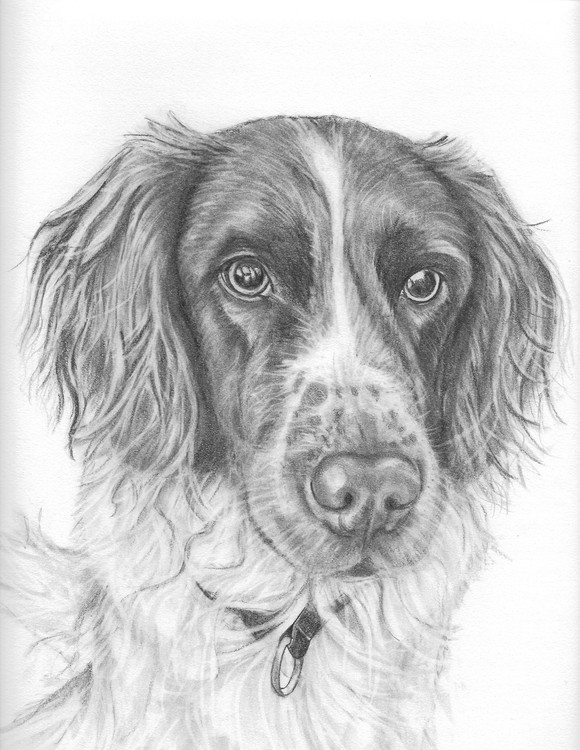 Sammy 