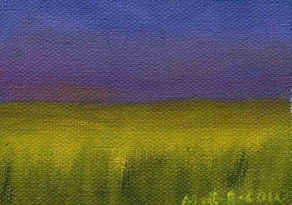Wheat Field