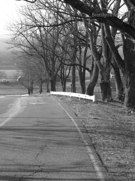 Sunday Drive