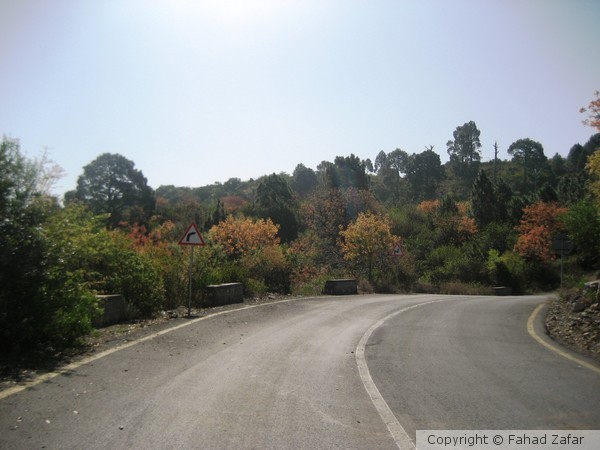 Spring in the Margallas.