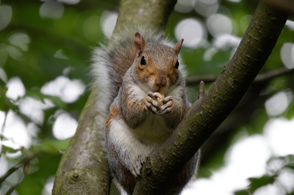 me nuts