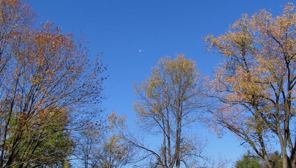 Silent Moon