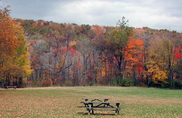 Autumn Vacancies