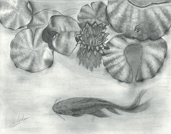 Fish in a pond