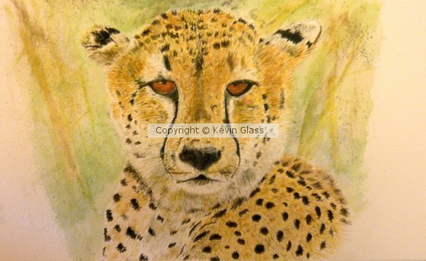Cheetah - Watercolour