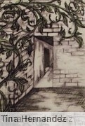 Climbing Vine