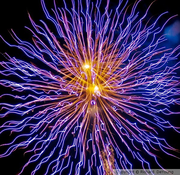 LARGE PURPLE BURST