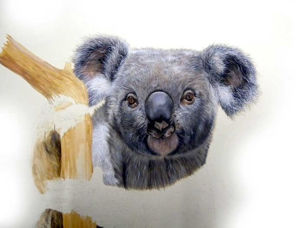 Koala Sketch