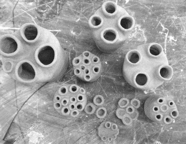 vena cava ceramic project