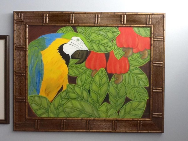 Macaw