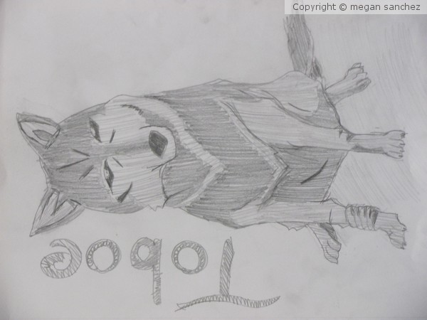Toboe