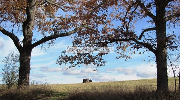 Tractor In Field