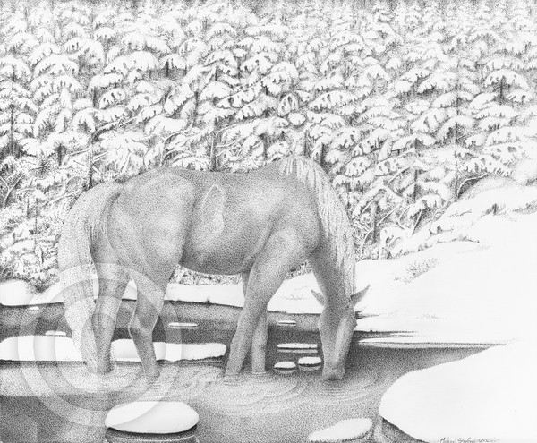 Horse in Snow