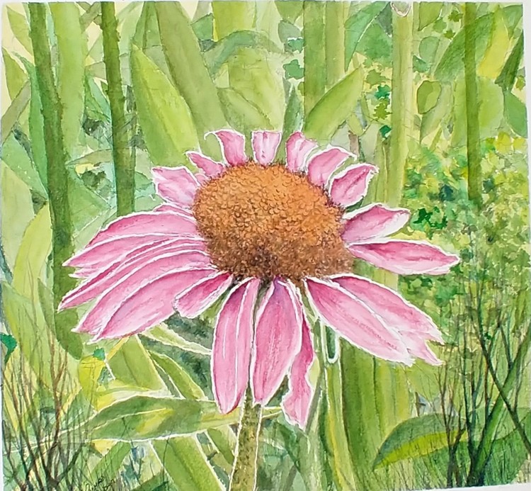 Flower among grasses
