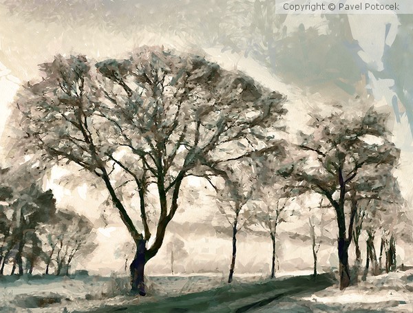 Winter road
