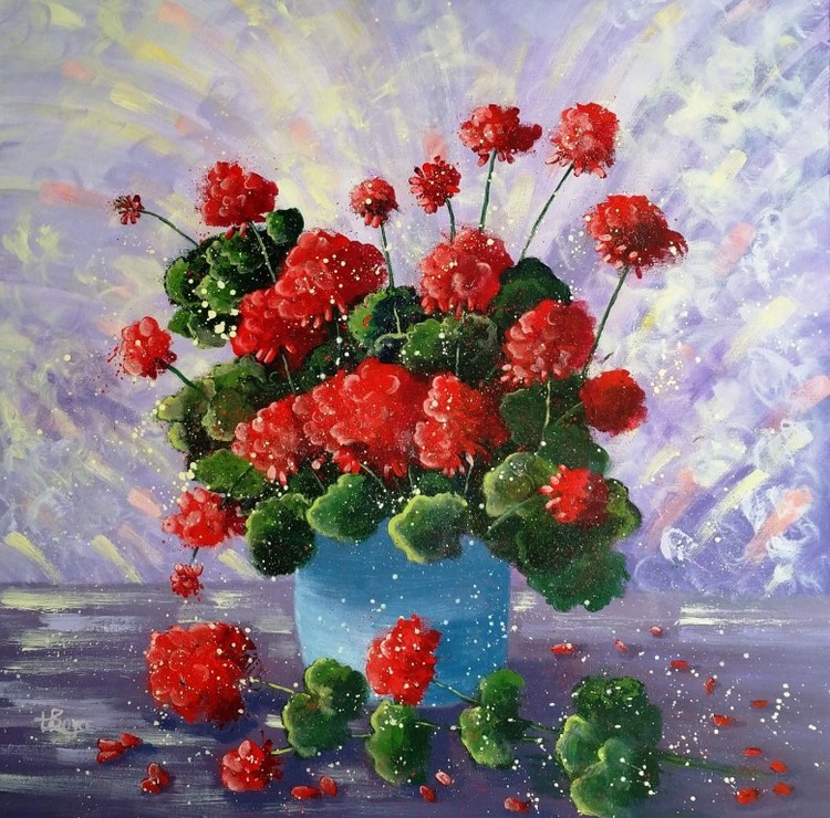 Red Geraniums - My Garden