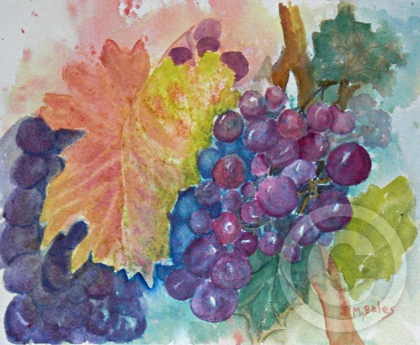 Late Harvest Grapes