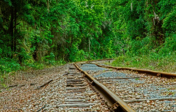 Tracks to Nowhere