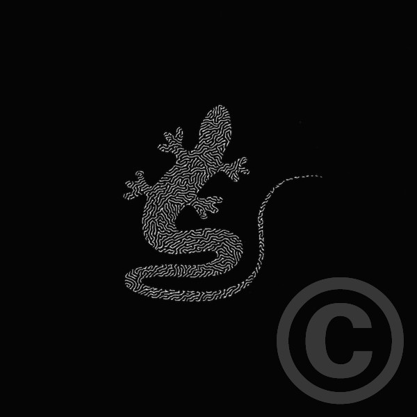 Broken Gecko