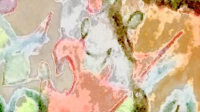 thumbnail-506