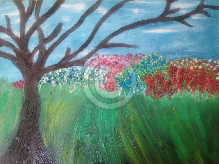 Blossoms