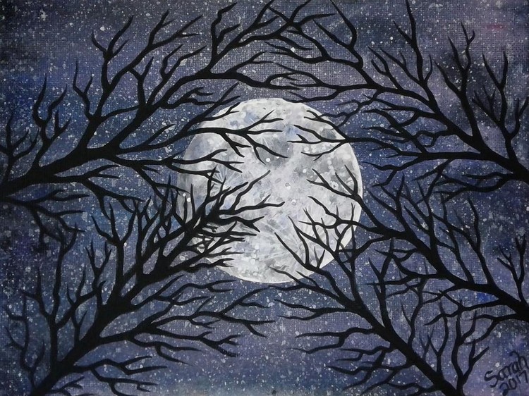 Moonlight Through the Trees