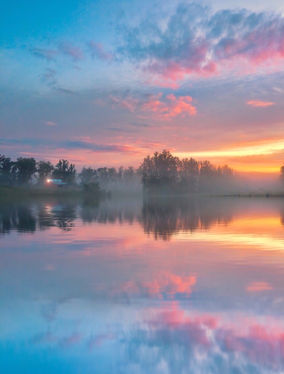 Foggy Sunrise 