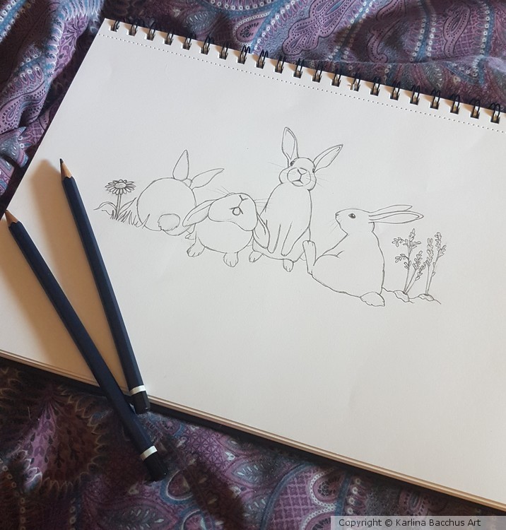 playful rabbit illustration / cartoon 