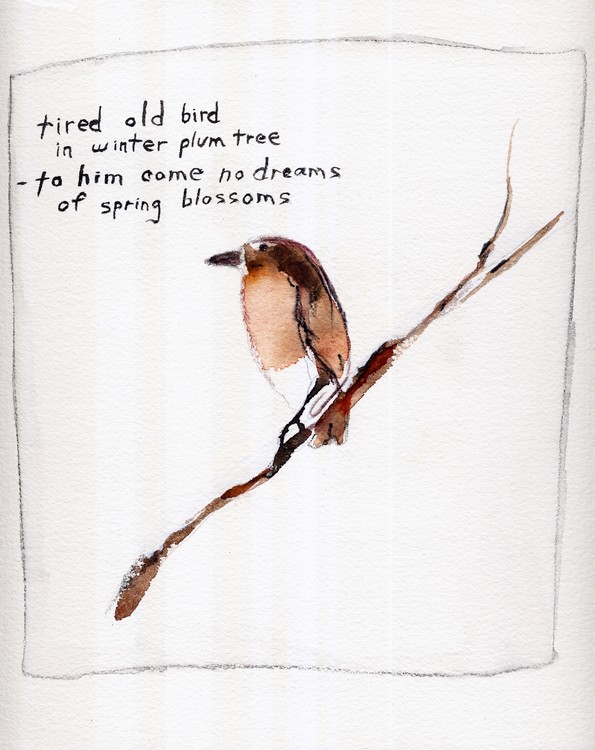 tired bird