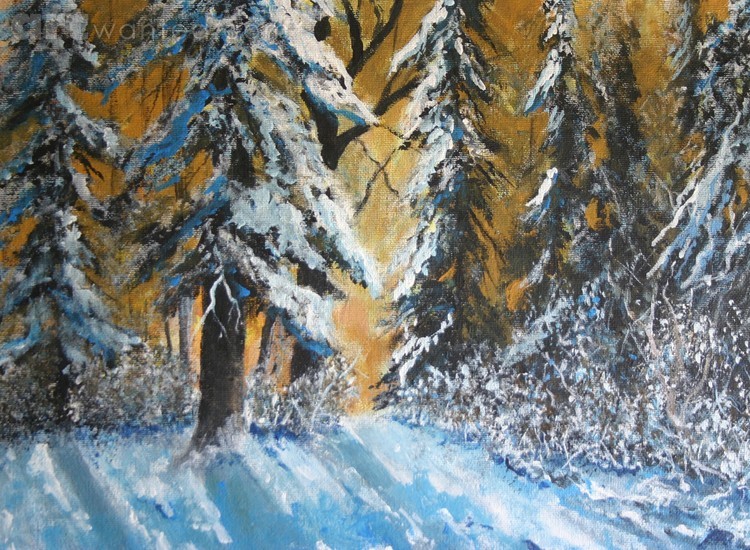 Light through the trees