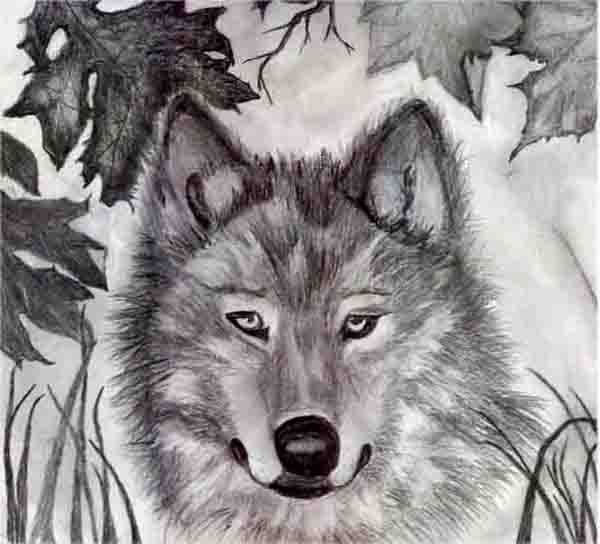 Devin's Wolf