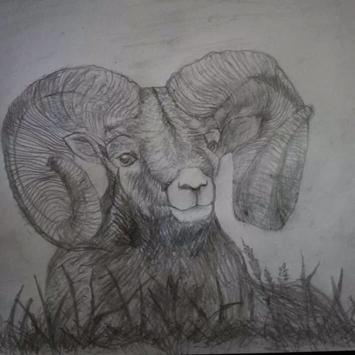 L'ariete