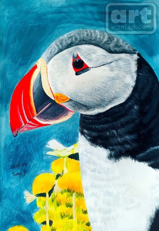 Puffin