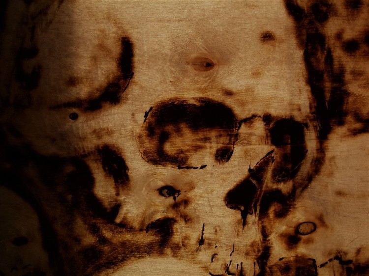 Srorched Skulls  (4)